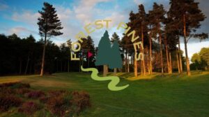 Forest Pines - Pines & Beeches Course