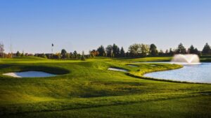 Challange Course At Spurwing