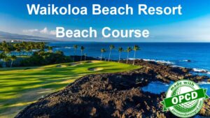Waikoloa Beach Course