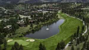 Breckenridge GC Beaver_Bear