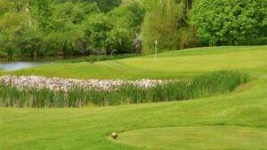 The Grove Country Club