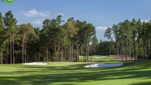 Bluejack National