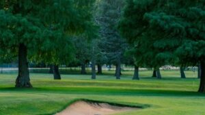 Thatcher Golf Course