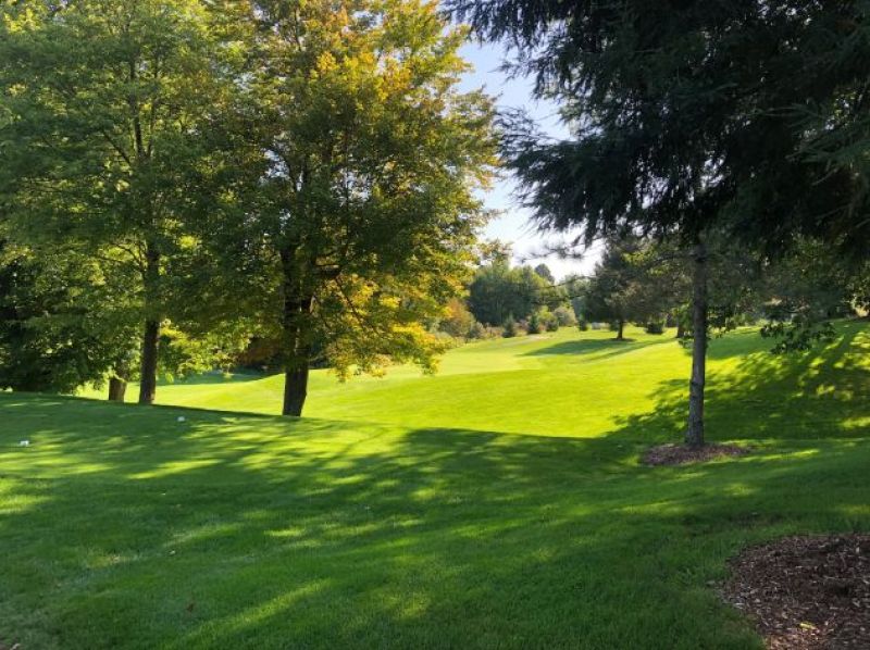 Heather Hills